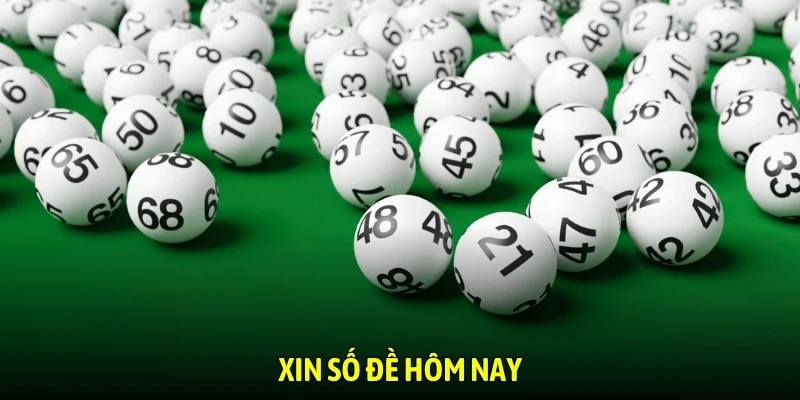 Xin số đề hôm nay